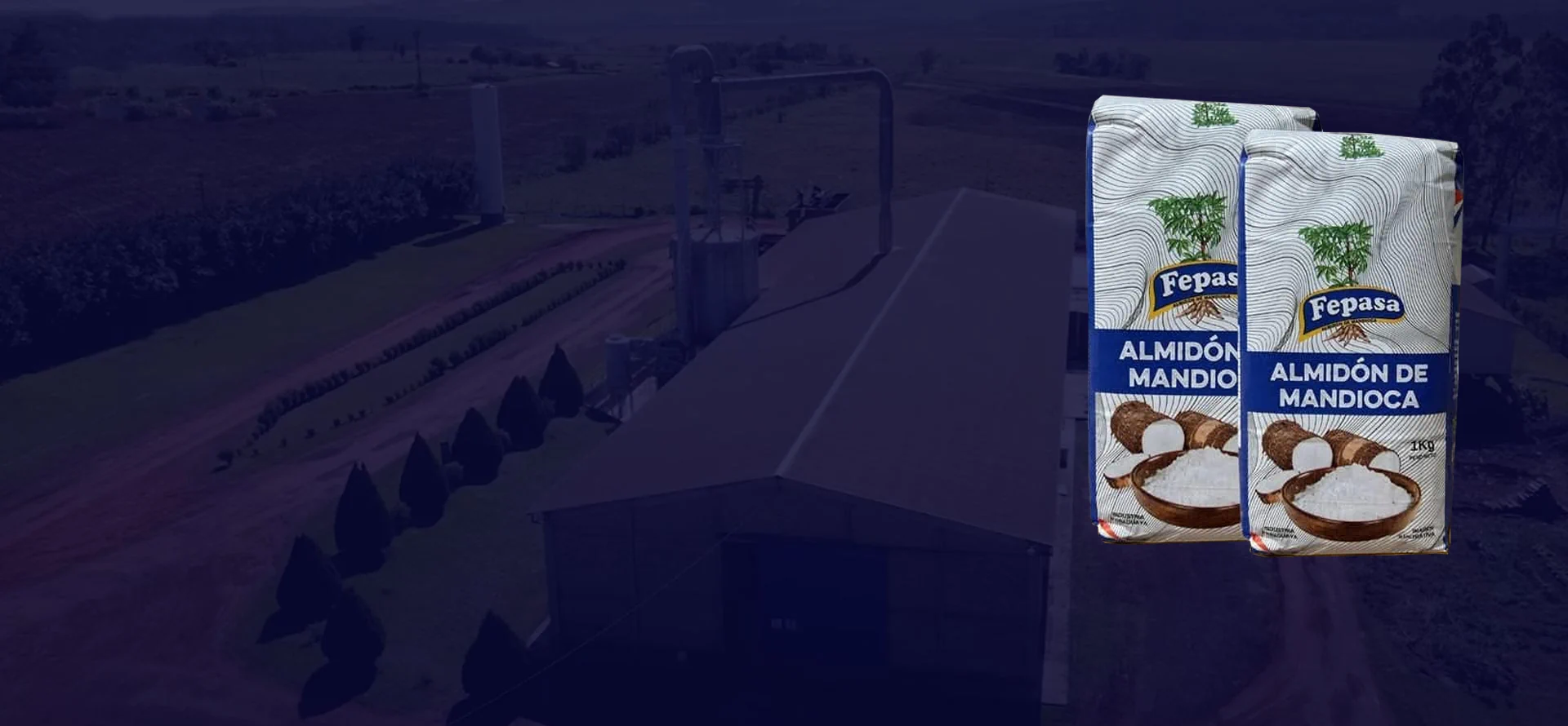 FEPASA ALMIDON DE MANDIOCA